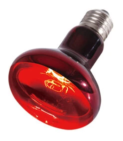REPTIZOO Lampe Chauffante Infra Rouge 75W Avec Culot E27