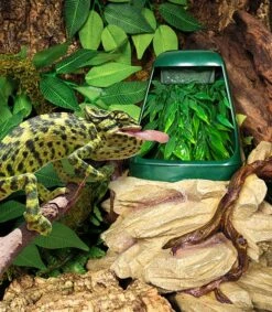 REPTIZOO Fontaine à Eau Avec Réserve De 800 Ml Pour Réptiles De Grande Taille -Poissons Aquariums Magasin 20210310091003314516