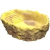 HOBBY Baignoire L Ocre 2000 Ml Dimension 29 X 22 X 9 Cm Pour Réptiles -Poissons Aquariums Magasin 36287