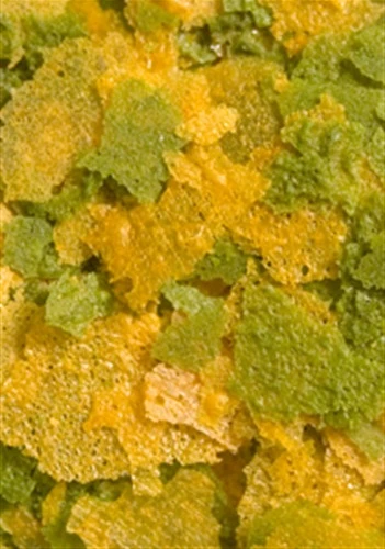 OCEAN NUTRITION Cichlid Vegi Flocons 34 Gr. Nourriture Pour Cichlidés Africains Et Autres Poissons D'eau Douce Végétariens 4 OCEAN NUTRITION Cichlid Vegi Flocons 34 Gr. Nourriture Pour Cichlidés Africains Et Autres Poissons D'eau Douce Végétariens – Image 2