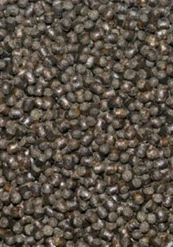 OCEAN NUTRITION Cichlid Omni Granulés Small 100 Gr. Nourriture Pour Les Cichlidés Piscivores Et Omnivores D'Afrique Et D'Amérique Du Sud. -Poissons Aquariums Magasin 5772a65e b6e6 48ca b203 2a452c5cf129 image