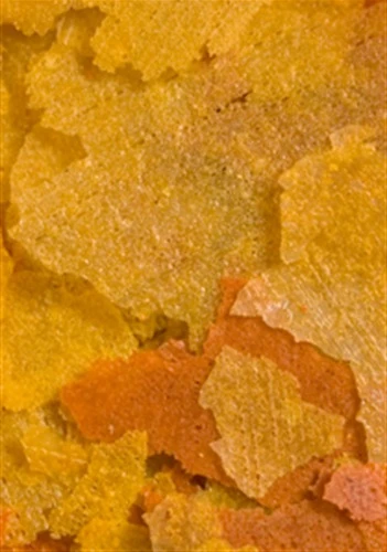 OCEAN NUTRITION GoldFish Flocons 70 Gr. Nourriture De Qualité Pour Poissons Rouges Et Voiles De Chine 4 OCEAN NUTRITION GoldFish Flocons 70 Gr. Nourriture De Qualité Pour Poissons Rouges Et Voiles De Chine – Image 2