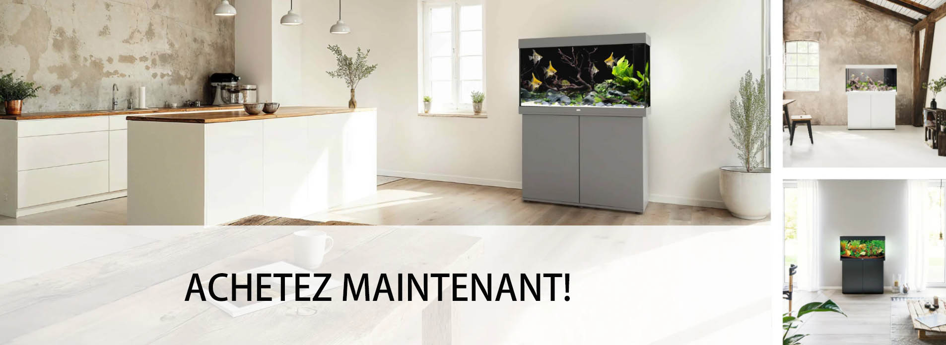 Poissons Aquariums Magasin -Poissons Aquariums Magasin SDFSF