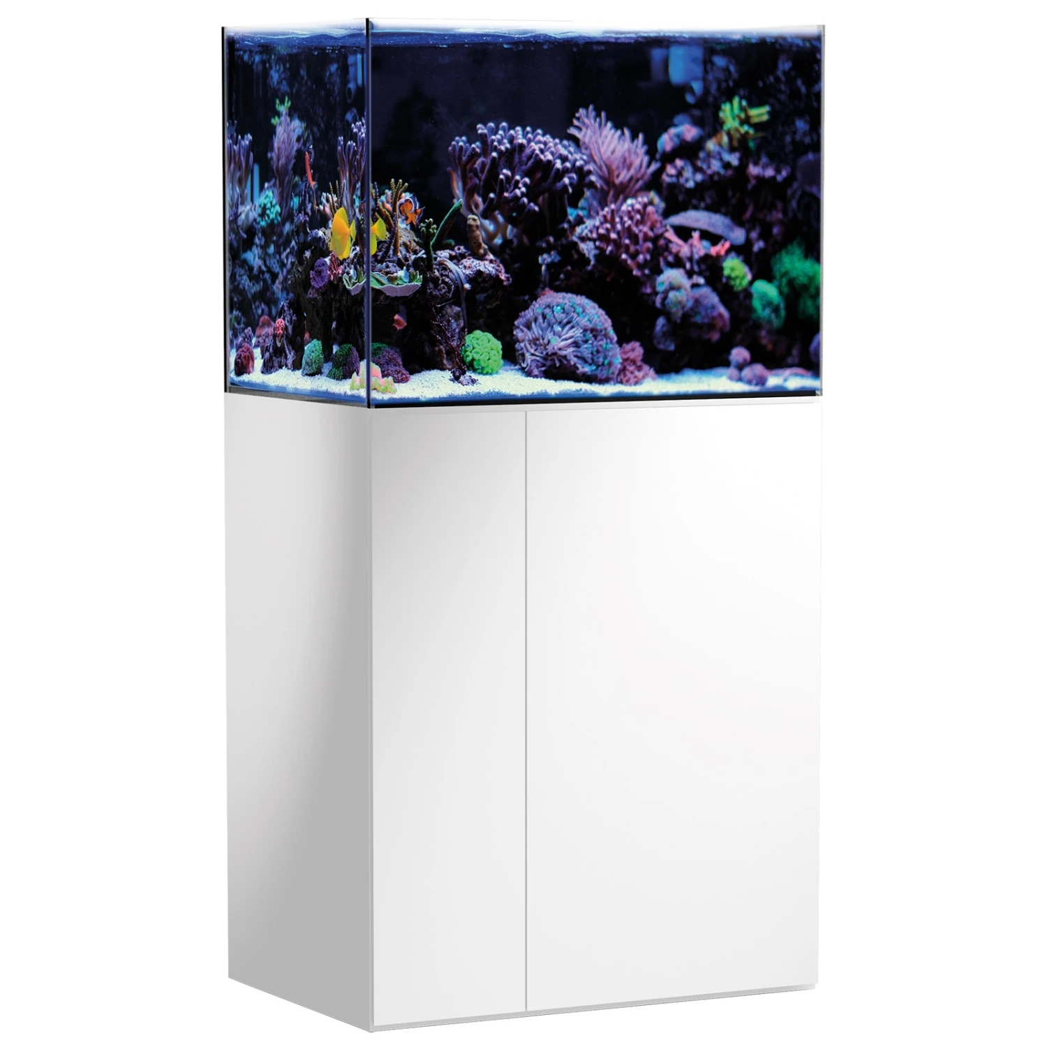 AQUA MEDIC Armatus 250 Blanc Kit Aquarium Eau De Mer De 190 L Avec Meuble Et Décantation 3 AQUA MEDIC Armatus 250 Blanc Kit Aquarium Eau De Mer De 190 L Avec Meuble Et Décantation