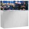 AQUA MEDIC Armatus 450 Blanc Kit Aquarium Eau De Mer 375 L Avec Meuble Et Décantation -Poissons Aquariums Magasin aqua medic armatus 450 blanc kit aquarium eau de mer 375 l avec meuble et decantation min