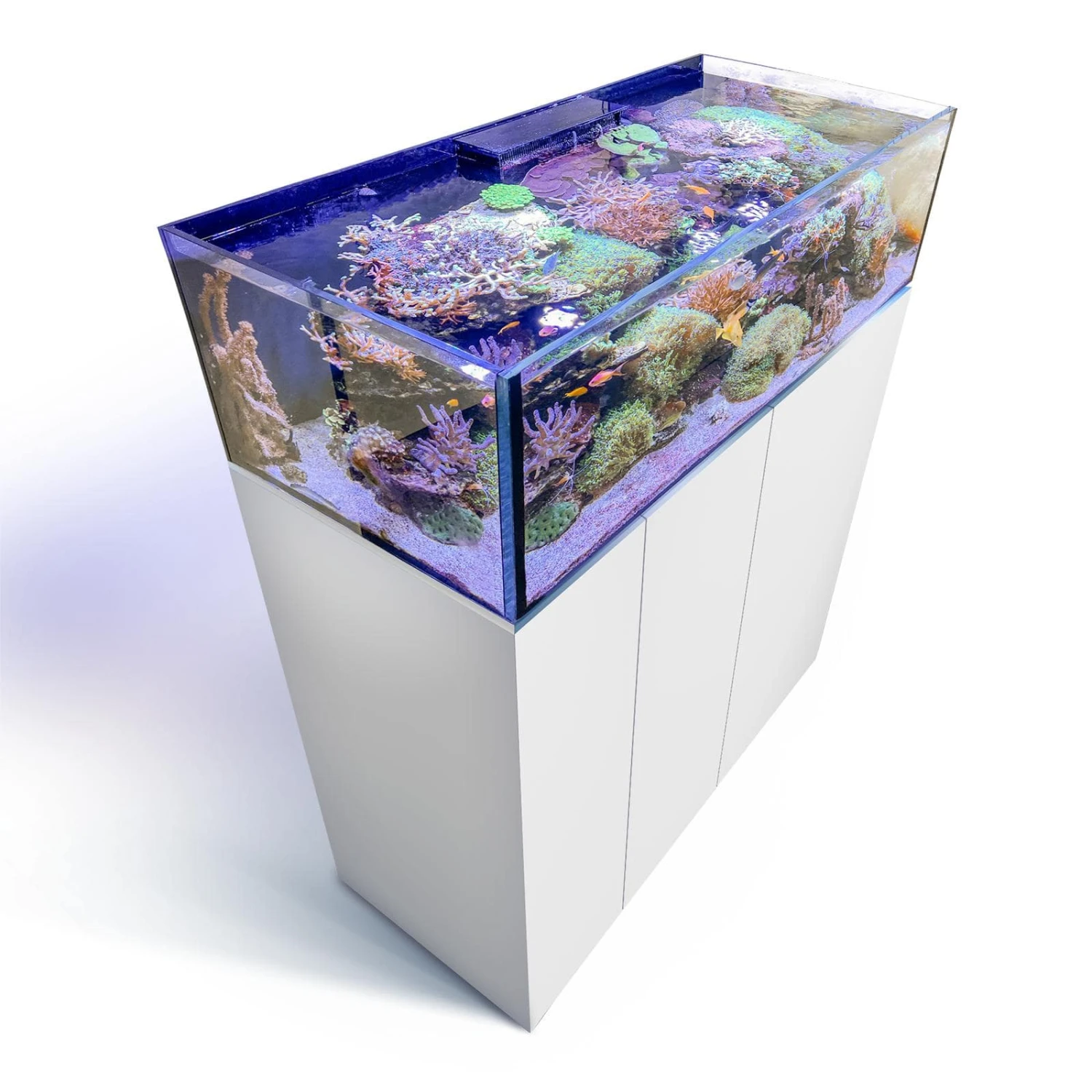 AQUA MEDIC Armatus Lagoon 400 Kit Aquarium Marin 150 Cm 355 L Avec Meuble Et Système à Décantation 4 AQUA MEDIC Armatus Lagoon 400 Kit Aquarium Marin 150 Cm 355 L Avec Meuble Et Système à Décantation – Image 2