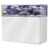AQUA MEDIC Armatus Lagoon 400 Kit Aquarium Marin 150 Cm 355 L Avec Meuble Et Système à Décantation 2 AQUA MEDIC Armatus Lagoon 400 Kit Aquarium Marin 150 Cm 355 L Avec Meuble Et Système à Décantation -Poissons Aquariums Magasin aqua medic armatus lagoon 400 kit aquarium marin 150 cm 355 l avec meuble et systeme a decantation min