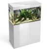 AQUAEL Glossy 100 LED 2.0 Blanc Laqué Aquarium 100 Cm, Volume 215 L Et éclairage Leds -Poissons Aquariums Magasin aquael glossy 100 led 2 0 blanc laque aquarium 100 cm volume 215 l et eclairage leds