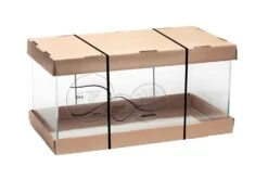 AQUAEL Opti Tank 54L 60 X 30 X 30 Cm Aquarium En Verre Optique Extra Clair. Cuve Nue Livrée Sans équipement -Poissons Aquariums Magasin aquael opti tank 54l 60 x 30 x 30 cm aquarium en verre optique extra clair cuve nue livree sans equipement 9