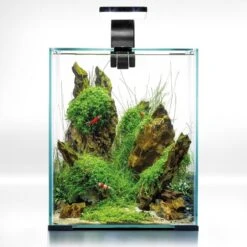 AQUAEL ShrimpSet Day & Night 20 Noir Nano-aquarium 19L Tout équipé 25 X 25 X 30 Cm