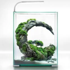 AQUAEL ShrimpSet Day & Night 30 Blanc Nano-aquarium 30L Tout équipé 29 X 29 X 35 Cm