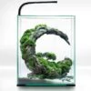AQUAEL ShrimpSet Day & Night 30 Noir Nano-aquarium 30L Tout équipé 29 X 29 X 35 Cm -Poissons Aquariums Magasin aquael shrimpset day night 30 noir nano aquarium 30l tout equipe 29 x 29 x 35 cm