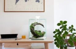 AQUAEL ShrimpSet Day & Night 10 Blanc Nano-aquarium 10L Tout équipé 20 X 20 X 25 Cm 10 AQUAEL ShrimpSet Day & Night 10 Blanc Nano-aquarium 10L Tout équipé 20 X 20 X 25 Cm -Poissons Aquariums Magasin aquael shrimpset day night 4 2