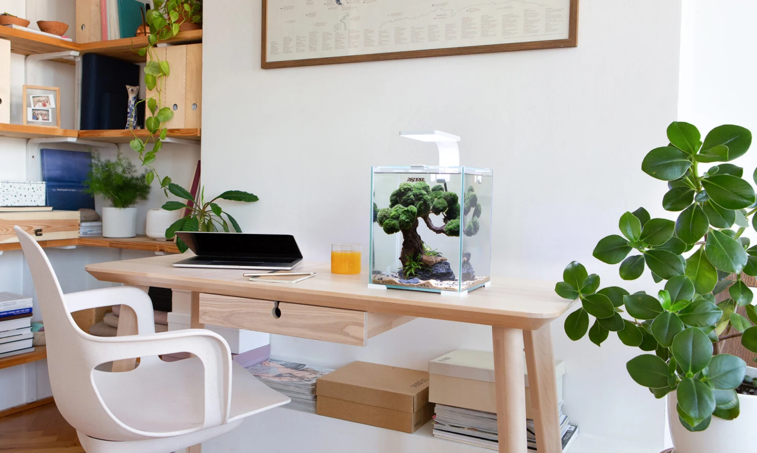 AQUAEL ShrimpSet Day & Night 10 Blanc Nano-aquarium 10L Tout équipé 20 X 20 X 25 Cm 7 AQUAEL ShrimpSet Day & Night 10 Blanc Nano-aquarium 10L Tout équipé 20 X 20 X 25 Cm – Image 5