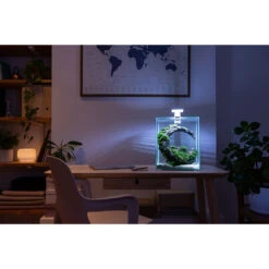 AQUAEL ShrimpSet Day & Night 20 Blanc Nano-aquarium 19L Tout équipé 25 X 25 X 30 Cm -Poissons Aquariums Magasin aquael shrimpset day night 7