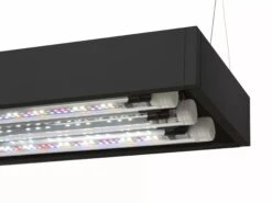 AQUAEL UltraScape 60 Set Forest Aquarium 64L Dimensions 60 X 30 X 36 Cm. Avec Ou Sans Meuble -Poissons Aquariums Magasin aquael ultrascape 60 set forest aquarium 64l dimensions 60 x 30 x 36 cm avec ou sans meuble 3