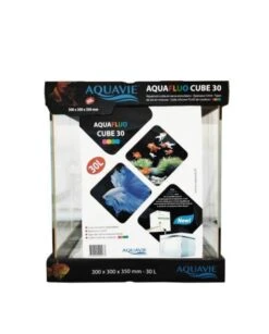 AQUAVIE AquaFluo Cube 30 L Aquarium Nu Dimensions 30 X 30 X 35 Cm Avec Silicone Fluorescent Orange