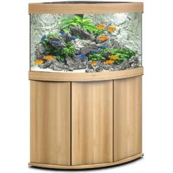 Aquarium JUWEL Trigon 190 LED Dim. 99 X 70 X 60 Cm 190 Litres, Coloris Au Choix, Avec Ou Sans Meuble SBX -Poissons Aquariums Magasin aquarium angle juwel trigon 190 led tout equipe chene clair avec meuble