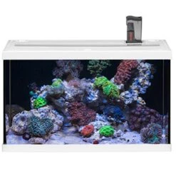 EHEIM AquaStart 63 LED Marin Blanc Aquarium équipé Eau De Mer 60 Cm 63L Disponible Avec Ou Sans Meuble 12 EHEIM AquaStart 63 LED Marin Blanc Aquarium équipé Eau De Mer 60 Cm 63L Disponible Avec Ou Sans Meuble -Poissons Aquariums Magasin aquarium eheim aquastar 63 marin led blanc 1
