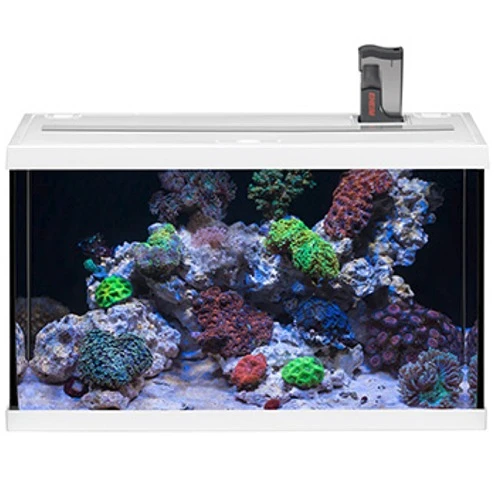 EHEIM AquaStart 63 LED Marin Blanc Aquarium équipé Eau De Mer 60 Cm 63L Disponible Avec Ou Sans Meuble 6 EHEIM AquaStart 63 LED Marin Blanc Aquarium équipé Eau De Mer 60 Cm 63L Disponible Avec Ou Sans Meuble – Image 4