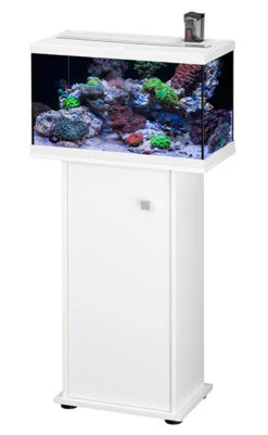 EHEIM AquaStart 63 LED Marin Blanc Aquarium équipé Eau De Mer 60 Cm 63L Disponible Avec Ou Sans Meuble 14 EHEIM AquaStart 63 LED Marin Blanc Aquarium équipé Eau De Mer 60 Cm 63L Disponible Avec Ou Sans Meuble -Poissons Aquariums Magasin aquarium eheim aquastar 63 marin led blanc meuble