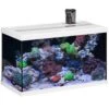 EHEIM AquaStart 63 LED Marin Blanc Aquarium équipé Eau De Mer 60 Cm 63L Disponible Avec Ou Sans Meuble