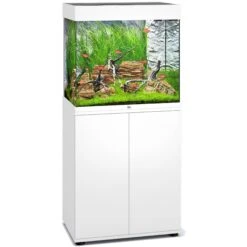 Aquarium JUWEL Lido 120 LED 61 X 41 X 58 Cm 120L - Gris, Blanc, Noir Ou Chêne Clair, Avec Ou Sans Meuble SBX -Poissons Aquariums Magasin aquarium juwel lido 120 led 61 x 41 x 58 cm 120l blanc avec ou sans meuble sbx