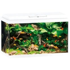 Aquarium JUWEL Primo 70 LED 61 X 31 X 44 Cm 70L Noir Ou Blanc, Avec Ou Sans Meuble -Poissons Aquariums Magasin aquarium juwel primo 70 led blanc sans meuble