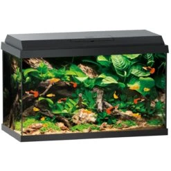 Aquarium JUWEL Primo 70 LED 61 X 31 X 44 Cm 70L Noir Ou Blanc, Avec Ou Sans Meuble -Poissons Aquariums Magasin aquarium juwel primo 70 led noir sans meuble