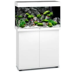 Aquarium JUWEL Rio 125 LED 81 X 36 X 50 Cm 125L - Gris, Blanc, Noir, Brun Ou Chêne Clair, Avec Ou Sans Meuble SBX 14 Aquarium JUWEL Rio 125 LED 81 X 36 X 50 Cm 125L - Gris, Blanc, Noir, Brun Ou Chêne Clair, Avec Ou Sans Meuble SBX -Poissons Aquariums Magasin aquarium juwel rio 125 blanc led avec meuble