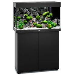 Aquarium JUWEL Rio 125 LED 81 X 36 X 50 Cm 125L - Gris, Blanc, Noir, Brun Ou Chêne Clair, Avec Ou Sans Meuble SBX 13 Aquarium JUWEL Rio 125 LED 81 X 36 X 50 Cm 125L - Gris, Blanc, Noir, Brun Ou Chêne Clair, Avec Ou Sans Meuble SBX -Poissons Aquariums Magasin aquarium juwel rio 125 noir led avec meuble