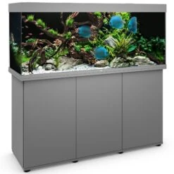 Aquarium JUWEL Rio 450 LED Dim. 151 X 51 X 66 Cm 450 Litres, Coloris Au Choix, Avec Ou Sans Meuble SBX !