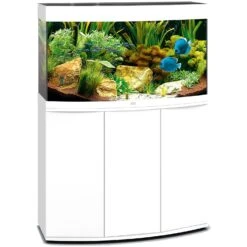 Poissons Aquariums Magasin 37 Poissons Aquariums Magasin -Poissons Aquariums Magasin aquarium juwel vision 180 led tout equipe blanc avec meuble