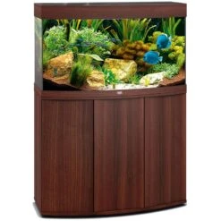 Aquarium JUWEL Vision 180 LED Dim. 92 X 41 X 55 Cm 180 Litres, Coloris Au Choix, Avec Ou Sans Meuble SBX -Poissons Aquariums Magasin aquarium juwel vision 180 led tout equipe brun avec meuble