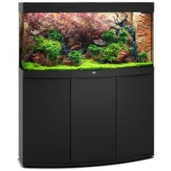 Aquarium JUWEL Vision 260 LED Dim. 121 X 46 X 62 Cm 260 Litres, Coloris Au Choix, Avec Ou Sans Meuble SBX