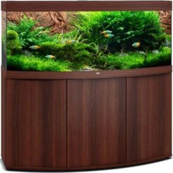 Aquarium JUWEL Vision 450 LED Dim. 151 X 61 X 64 Cm 450 Litres, Coloris Au Choix, Avec Ou Sans Meuble SBX -Poissons Aquariums Magasin aquarium juwel vision 450 led tout equipe brun avec meuble
