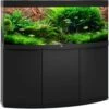 Aquarium JUWEL Vision 450 LED Dim. 151 X 61 X 64 Cm 450 Litres, Coloris Au Choix, Avec Ou Sans Meuble SBX 1 Aquarium JUWEL Vision 450 LED Dim. 151 X 61 X 64 Cm 450 Litres, Coloris Au Choix, Avec Ou Sans Meuble SBX -Poissons Aquariums Magasin aquarium juwel vision 450 led tout equipe noir avec meuble