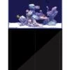 AQUARIUM SYSTEMS L'Aquarium 370 Noir Version 2.0 Combinaison Aquarium 242 L Et Meuble 1 AQUARIUM SYSTEMS L'Aquarium 370 Noir Version 2.0 Combinaison Aquarium 242 L Et Meuble -Poissons Aquariums Magasin aquarium systems l aquarium 370 noir version 2 0 combinaison aquarium 242 l et meuble min