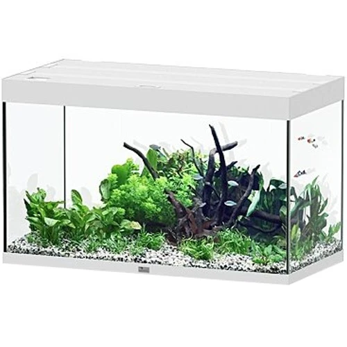AQUATLANTIS Sublime Pro LED 2.0 100 X 50 X 60 Cm Blanc Haute Brillance Aquarium équipé 300 L 3 AQUATLANTIS Sublime Pro LED 2.0 100 X 50 X 60 Cm Blanc Haute Brillance Aquarium équipé 300 L