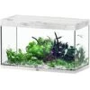 AQUATLANTIS Sublime Pro LED 2.0 100 X 50 X 60 Cm Chêne Blanc Aquarium équipé 300 L 1 AQUATLANTIS Sublime Pro LED 2.0 100 X 50 X 60 Cm Chêne Blanc Aquarium équipé 300 L -Poissons Aquariums Magasin aquatlantis aquarium sublime pro led 2 0 100 x 50 x 60 cm chene blanc aquarium 300 l avec meuble