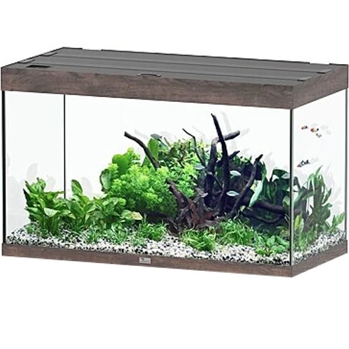 AQUATLANTIS Sublime Pro LED 2.0 100 X 50 X 60 Cm Chêne Sauvage Brun Aquarium équipé 300 L 3 AQUATLANTIS Sublime Pro LED 2.0 100 X 50 X 60 Cm Chêne Sauvage Brun Aquarium équipé 300 L