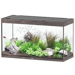 AQUATLANTIS Sublime Pro LED 2.0 120 X 50 X 70 Cm ChĂȘne Sauvage Brun Aquarium Ă©quipĂ© 400 L