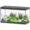 AQUATLANTIS Sublime Pro LED 2.0 120 X 50 X 70 Cm Noir Haute Brillance Aquarium équipé 400 L -Poissons Aquariums Magasin aquatlantis aquarium sublime pro led 2 0 120 x 50 x 70 cm noir haute brillance aquarium equipe 400 l