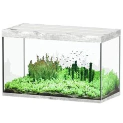 AQUATLANTIS Sublime Pro LED 2.0 120 X 60 X 75 Cm Béton Aquarium équipé 517 L
