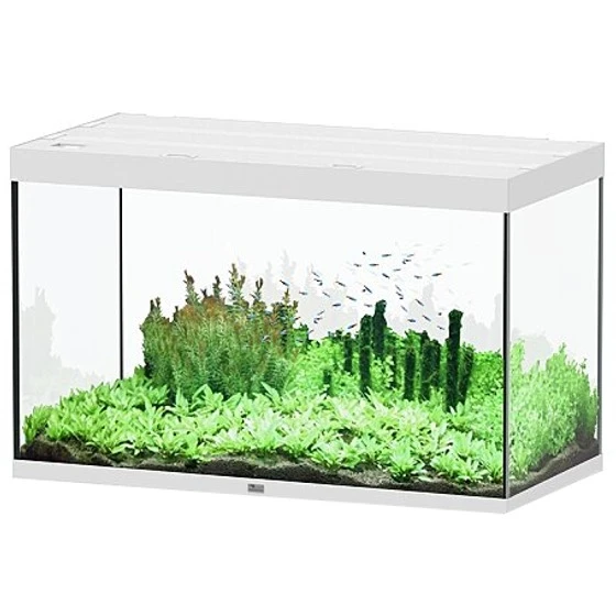 AQUATLANTIS Sublime Pro LED 2.0 120 X 60 X 75 Cm Blanc Haute Brillance Aquarium équipé 517 L 3 AQUATLANTIS Sublime Pro LED 2.0 120 X 60 X 75 Cm Blanc Haute Brillance Aquarium équipé 517 L