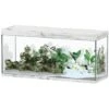 AQUATLANTIS Sublime Pro LED 2.0 150 X 50 X 70 Cm Chêne Blanc Aquarium équipé 501 L