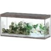 AQUATLANTIS Sublime Pro LED 2.0 150 X 50 X 70 Cm Chêne Sauvage Brun Aquarium équipé 501 L -Poissons Aquariums Magasin aquatlantis aquarium sublime pro led 2 0 150 x 50 x 70 cm chene sauvage brun aquarium 501 l avec meuble