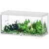 AQUATLANTIS Sublime Pro LED 2.0 150 X 60 X 75 Cm Blanc Haute Brillance Aquarium équipé 648 L -Poissons Aquariums Magasin aquatlantis aquarium sublime pro led 2 0 150 x 60 x 75 cm blanc haute brillance aquarium 648 l avec meuble