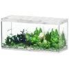 AQUATLANTIS Sublime Pro LED 2.0 150 X 60 X 75 Cm Chêne Blanc Aquarium équipé 648 L 2 AQUATLANTIS Sublime Pro LED 2.0 150 X 60 X 75 Cm Chêne Blanc Aquarium équipé 648 L -Poissons Aquariums Magasin aquatlantis aquarium sublime pro led 2 0 150 x 60 x 75 cm chene blanc aquarium 648 l avec meuble