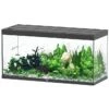 AQUATLANTIS Sublime Pro LED 2.0 150 X 60 X 75 Cm Noir Haute Brillance Aquarium équipé 648 L -Poissons Aquariums Magasin aquatlantis aquarium sublime pro led 2 0 150 x 60 x 75 cm noir haute brillance aquarium 648 l avec meuble